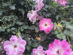 -人民公园(罗湖区)