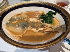 -鲐赏河豚(长寿店)