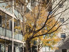 -中央戏剧学院(昌平校区)