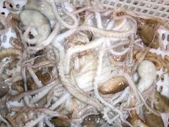 android_upload_pic-羊汤研究所(茶苑海口路店)