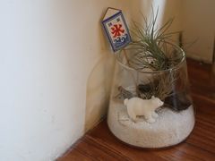 -白熊咖啡(闽江大道店)