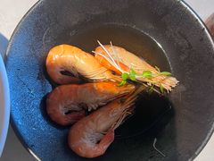 -醉庐·新上海菜(南京西路店)