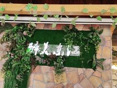 -醉美东江·三文鱼·烧鸡公