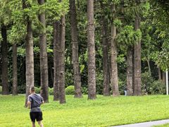 -人民公园(罗湖区)