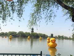 -盛世南宫影视城(北普陀影视城)