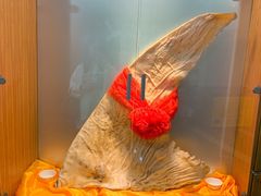 -新加坡泰园村酒楼直营(新华路店)