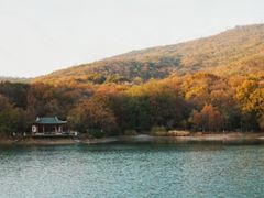 -紫霞湖公园