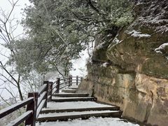 -缙云山景区