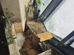 -瓦库茶馆30号(大唐不夜城店)