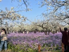 -江苏三台山国家森林公园