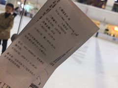 -炫采冰场(红博中央公园商场店)