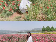 -君乐宝优致牧场
