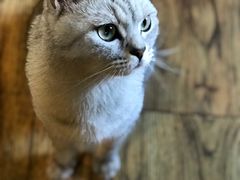 -不舍昼夜咖啡馆