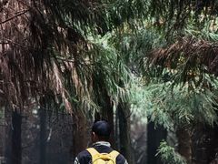 -山王坪喀斯特国家生态公园