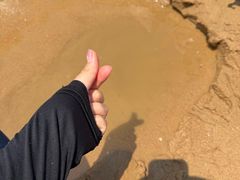 -日照海滨国家森林公园