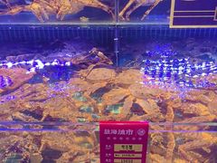 -驻海渔市(置信店)