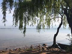 -西昌邛海湾柏樾酒店(原邛海湾柏栎度假酒店)