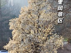 -昆嵛山石门里景区