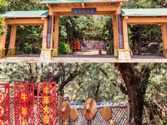 -北海金海湾红树林生态旅游区