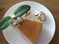 -平行世界·猫咖(首经贸店)