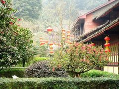-峨眉山报国寺