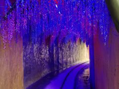 -呀路古热带植物园
