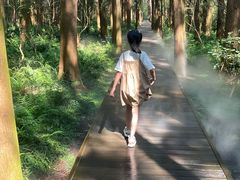 -同里国家湿地公园