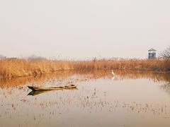 -盐城丹顶鹤湿地生态旅游区