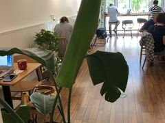 -Cafe Villa