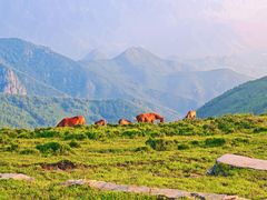 -灵山