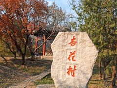 -北京凤凰岭