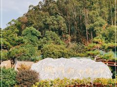 -顺峰山公园