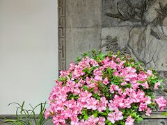 -个园