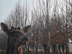 -秦皇岛野生动物园