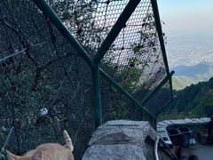 -泰山风景名胜区