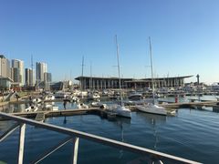 -青岛海滨风景区