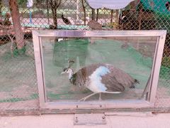 -陕西自然博物馆