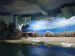 -厦门海底世界