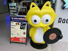 -浣熊唱片店(上海影城店)