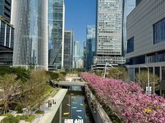 -深圳湾万象城(南山店)