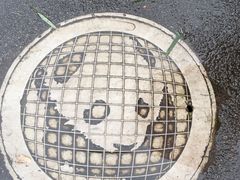 -都江堰中华大熊猫苑