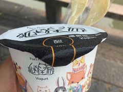 -狐狸家·酸奶酪专门店(平江路店)