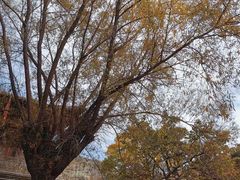 -雁门关景区