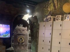 -暴风岛沉浸式体验馆(百联世纪店)