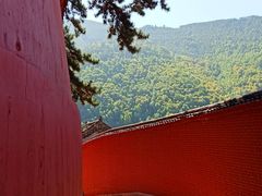 -五台山风景名胜区-罗睺寺
