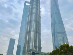 -乐忻皇朝(上海中心大厦店)