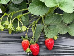 -溪悦渔庄(九龙湖店)