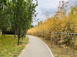 -大望京儿童游乐场