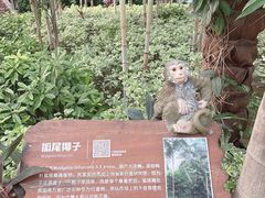 -南宫五洲植物乐园