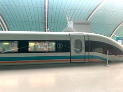 -龙阳路磁悬浮列车总站-停车场